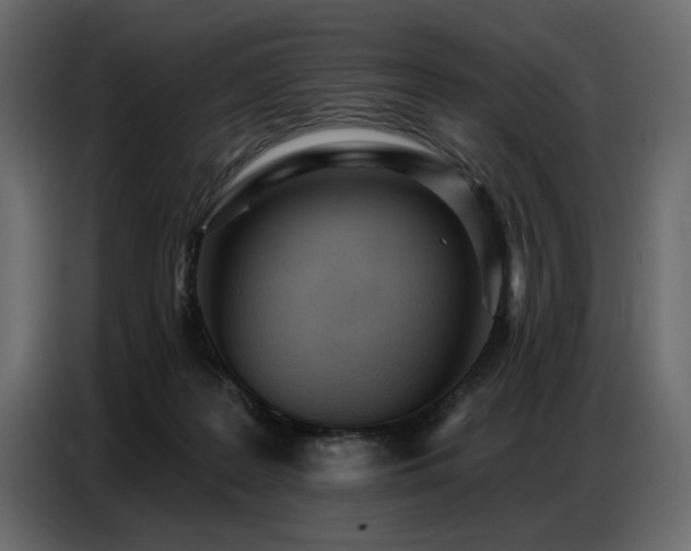 X0000087740219200705071059
