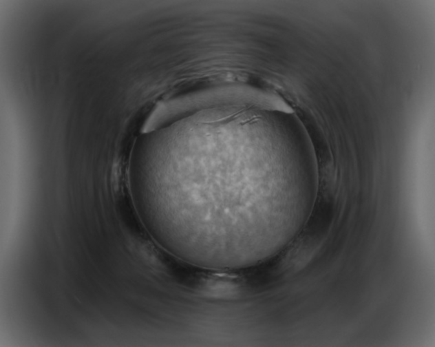 X0000087740222200705071059