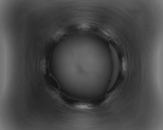 X0000087740223200705071059