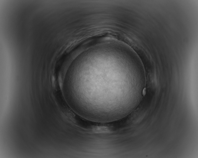 X0000087740224200705071059