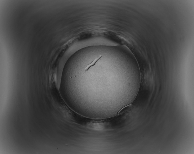 X0000087740228200705071059