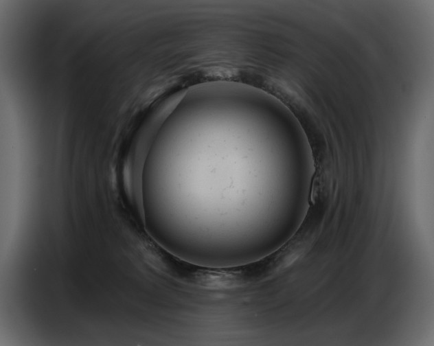 X0000087740229200705071059