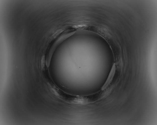 X0000087740231200705071059