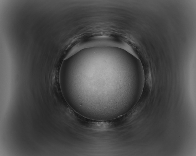 X0000087740233200705071059