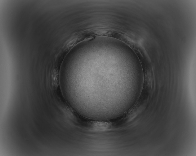 X0000087740234200705071059