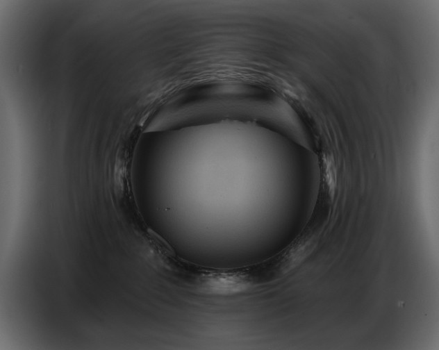 X0000087740235200705071059