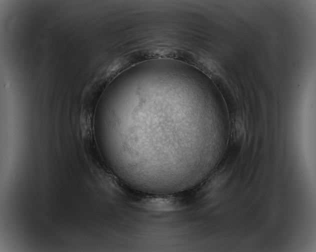 X0000087740236200705071059