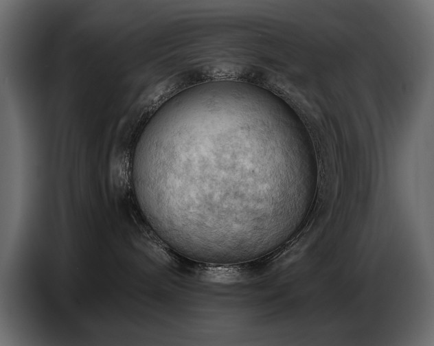 X0000087740240200705071059