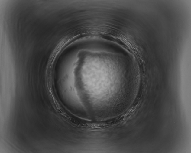 X0000087740241200705071058