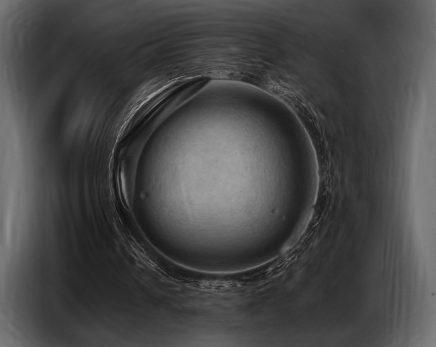 X0000087740242200705071058