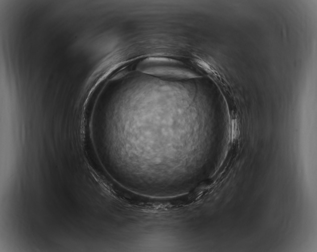 X0000087740243200705071058