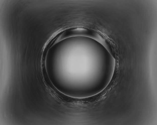 X0000087740244200705071058