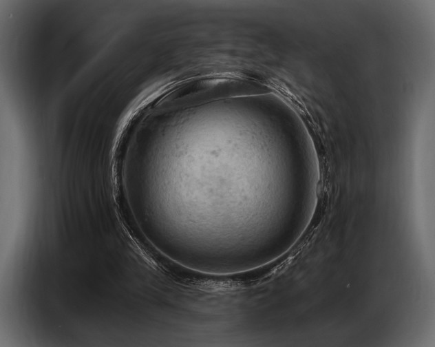 X0000087740245200705071058