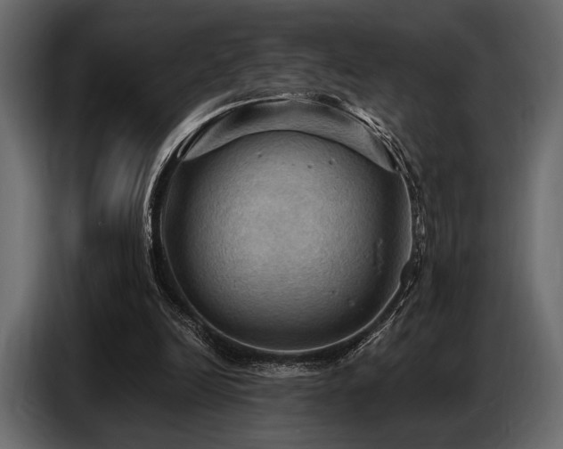 X0000087740246200705071059