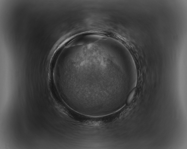 X0000087740247200705071059