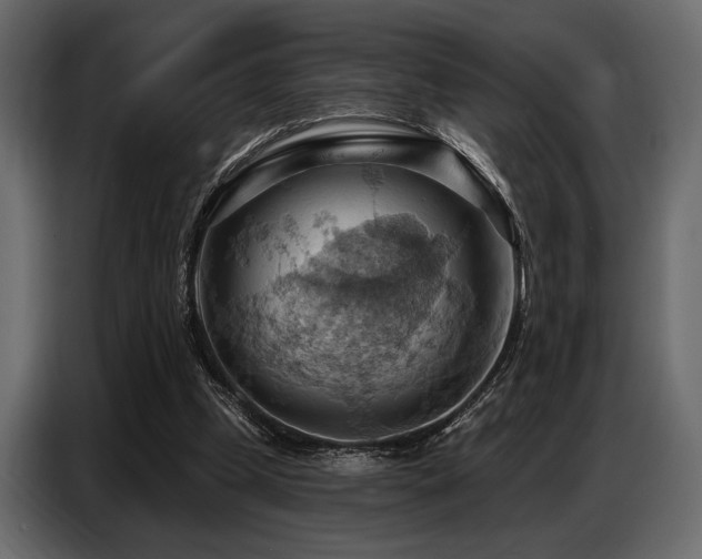X0000087740249200705071059