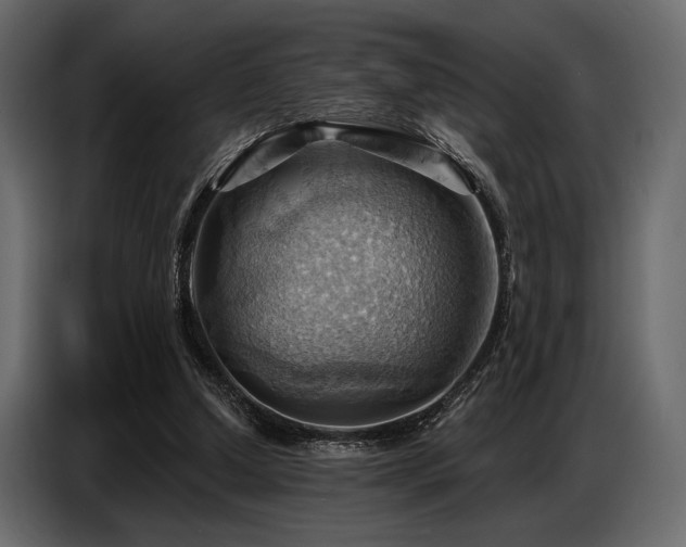 X0000087740250200705071059