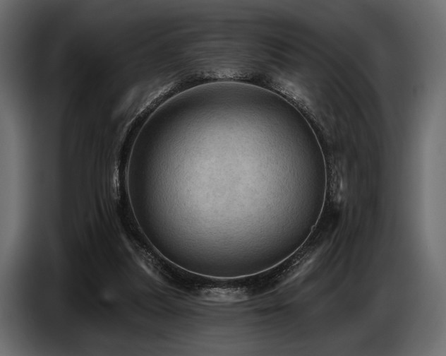 X0000087740251200705071059