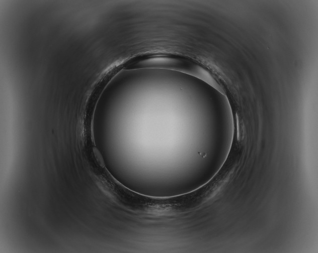 X0000087740252200705071059