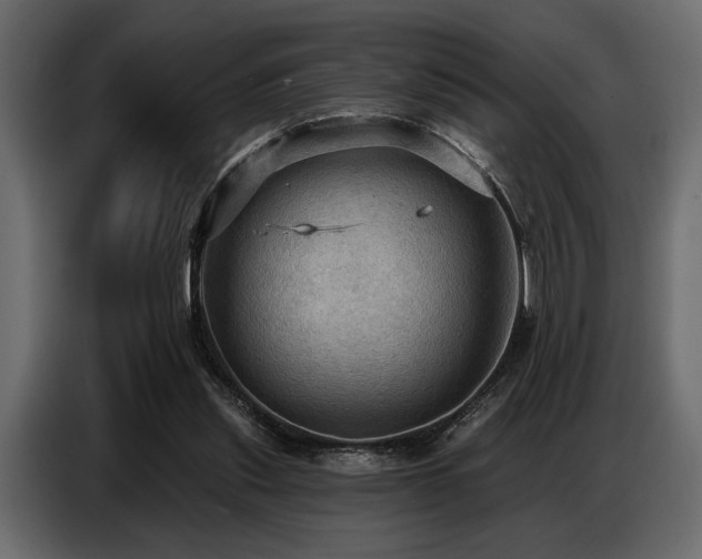 X0000087740253200705071059