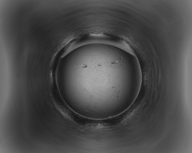 X0000087740254200705071059