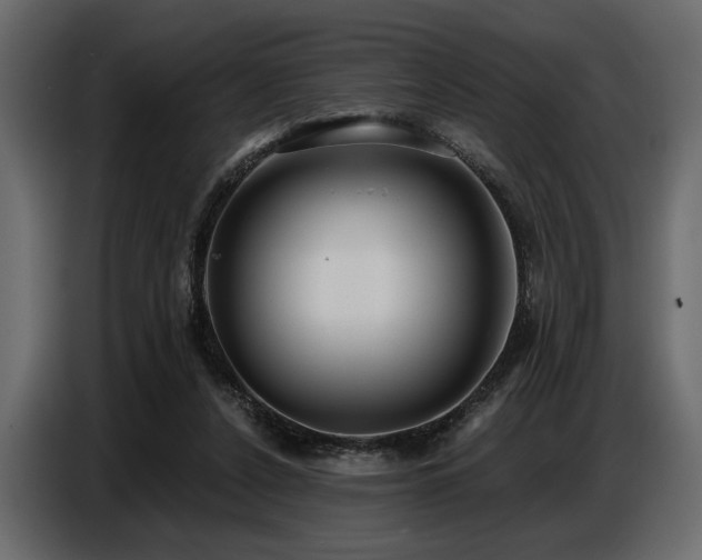 X0000087740256200705071059