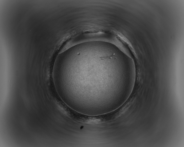 X0000087740257200705071059
