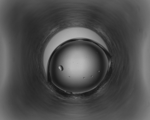 X0000087740260200705071059