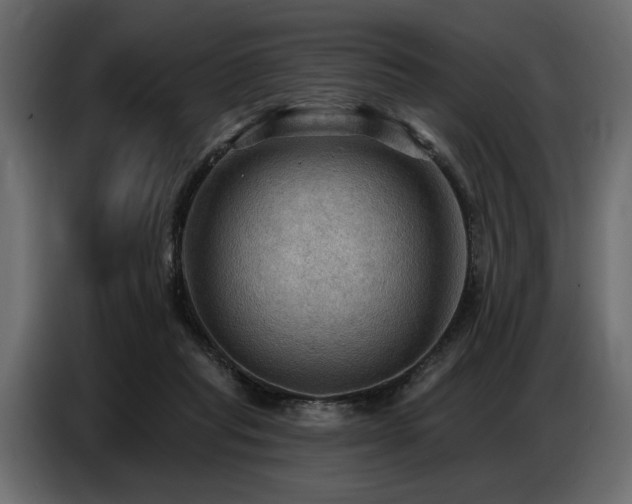 X0000087740261200705071059