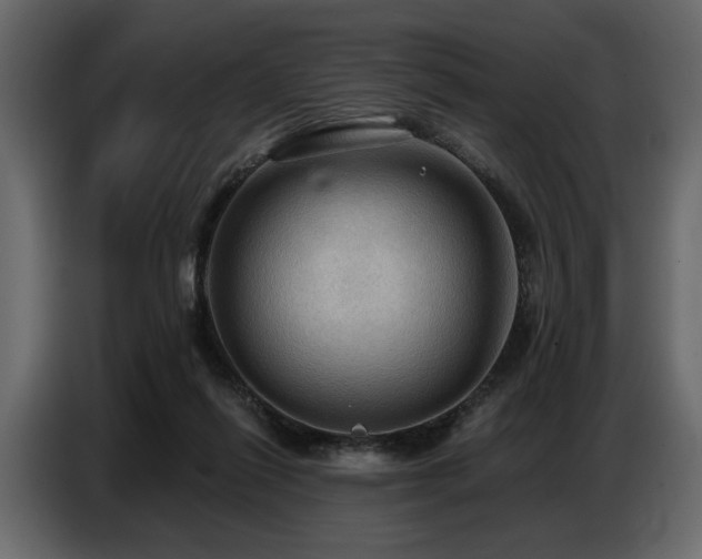X0000087740262200705071059