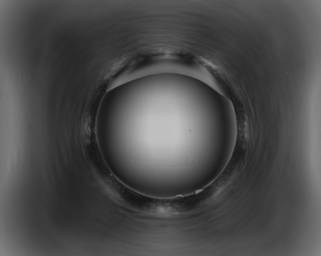 X0000087740264200705071059
