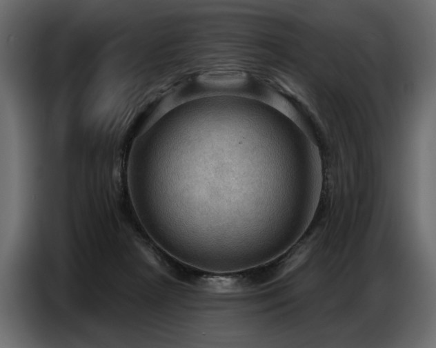 X0000087740265200705071059