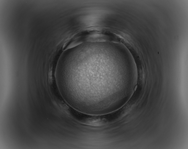 X0000087740267200705071059