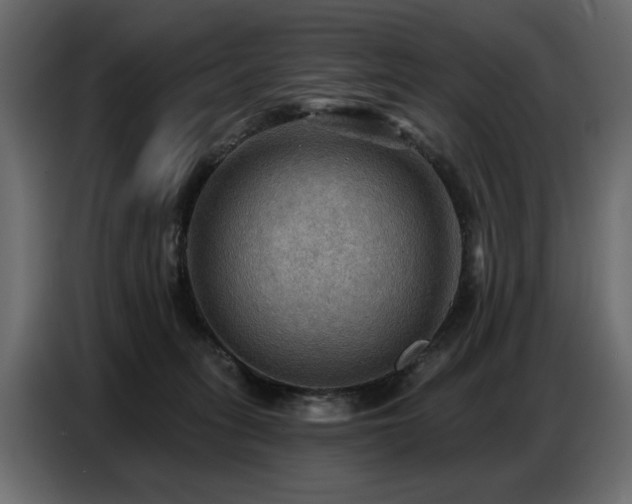 X0000087740275200705071059