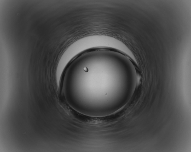 X0000087740276200705071059