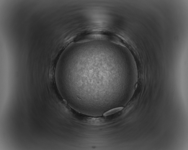 X0000087740277200705071059
