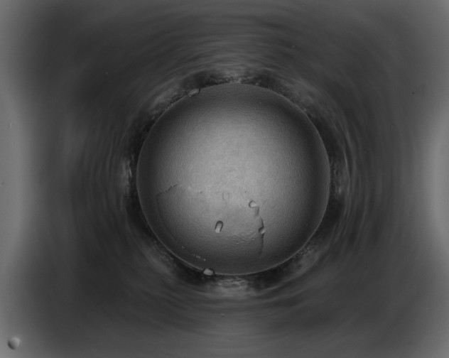 X0000087740279200705071059