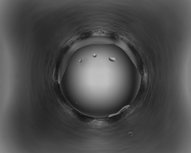 X0000087740280200705071059