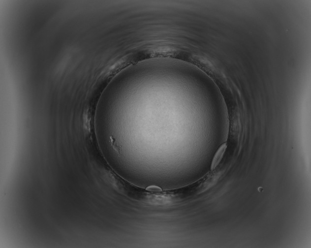 X0000087740282200705071059