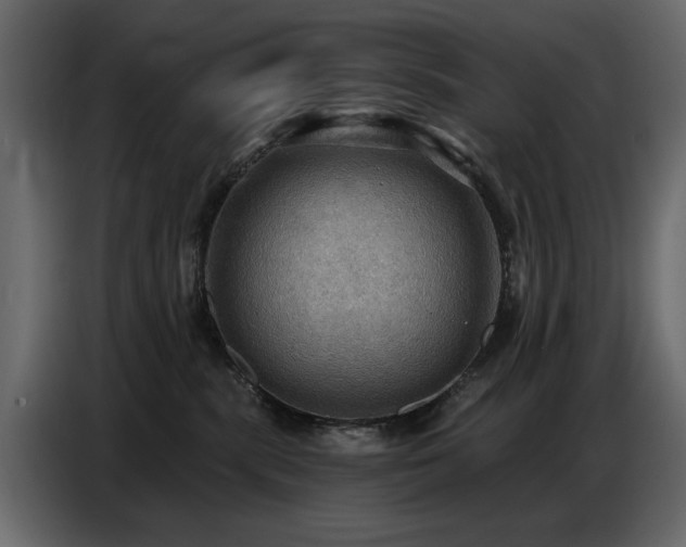 X0000087740283200705071059