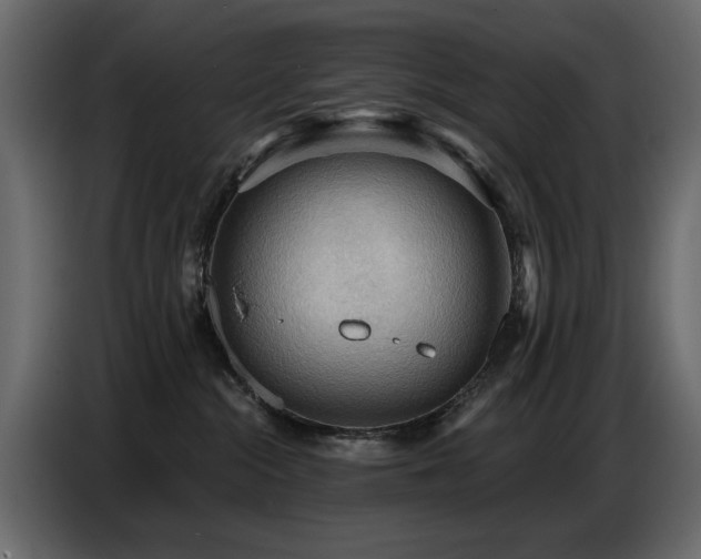 X0000087740284200705071059
