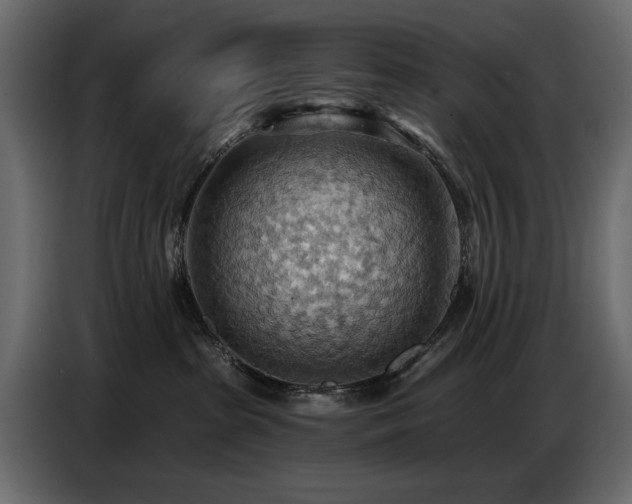X0000087740285200705071059