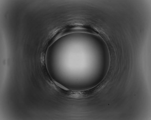 X0000087740288200705071059
