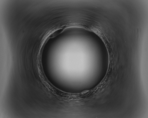 X0000087740289200705071058