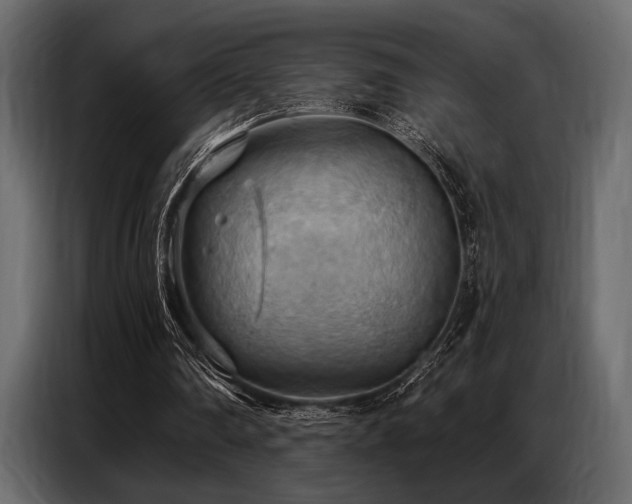 X0000087740290200705071058