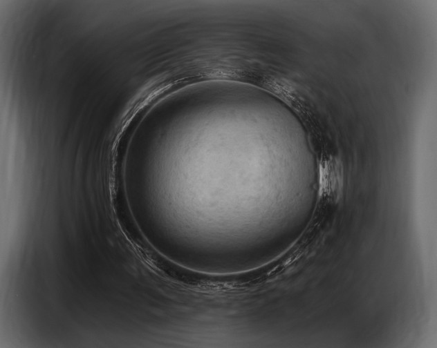 X0000087740291200705071058
