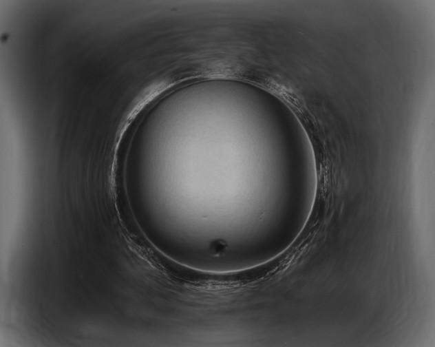 X0000087740292200705071058
