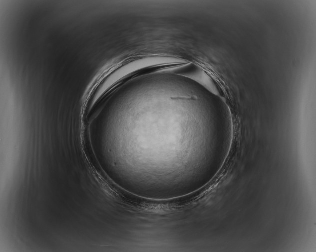 X0000087740293200705071058