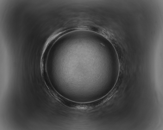 X0000087740294200705071058