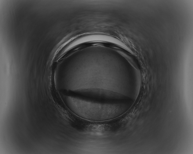 X0000087740295200705071058
